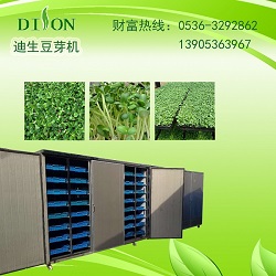 全自動(dòng)不銹鋼苗菜機(jī)